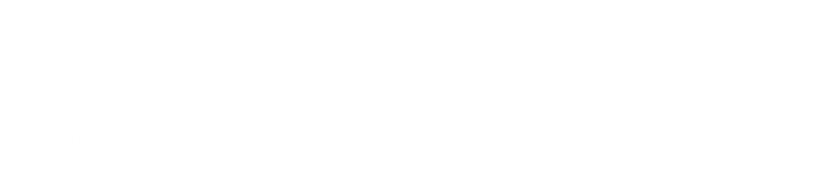 PPP_Logo-long_WH.png